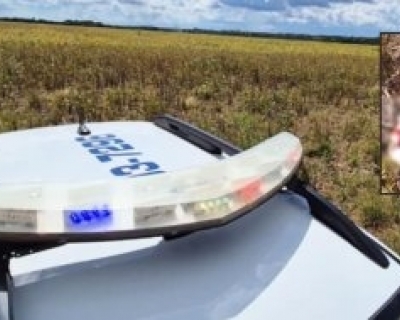 Ossada � encontrada em lavoura de soja e pol�cia investiga poss�vel execu��o em Sinop