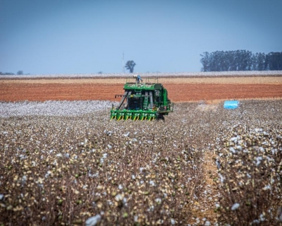Governo de MT prorroga diferimento do ICMS para fertilizantes e mant�m benef�cio at� dezembro de 2026