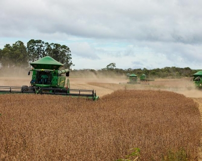 Mesmo com ajustes na safra, MT mant�m lideran�a nacional com apoio de incentivos e cr�dito