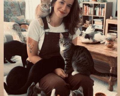 Solidariedade em a��o: bazar ajuda protetora a manter mais de 100 animais em Cuiab�