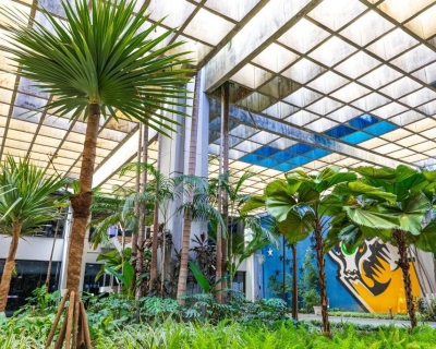 Governo de MT fortalece microcervejarias e reduz ICMS na cadeia do p�o franc�s