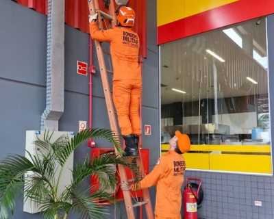 Bombeiros resgatam jupar� que estava em estrutura de supermercado em Confresa