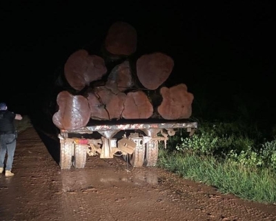 Polícia Civil e Sema flagram transporte e venda ilegal de madeira em Novo Mundo