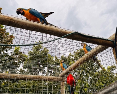 Guarda de animais silvestres permanece aberta durante todo o ano, entenda