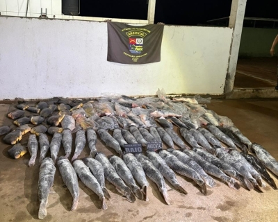 Batalhão Ambiental da PM prende homem com mais de 340 quilos de pescado ilegal em Cuiabá