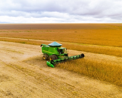 Fiscais do Indea aplicam 58 multas em propriedades rurais por descumprimento do vazio sanit�rio da soja