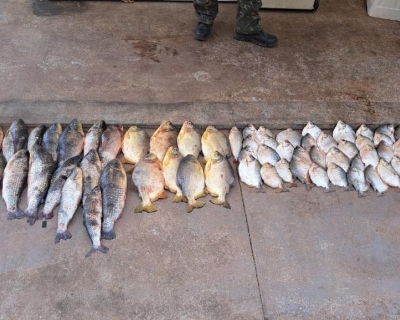Sema-MT e Pol�cias Militar e Civil apreendem pescado ilegal em fiscaliza��o na piracema