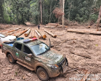 Batalhão Ambiental da PM apreende mais de 174 m³ de madeira ilegal durante fiscalização em Marcelândia