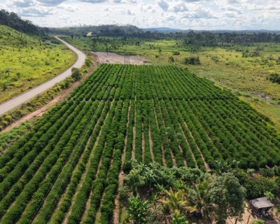 Rota do Café chega a Cotriguaçu e Juína com informações sobre o plantio para o crescimento da produção