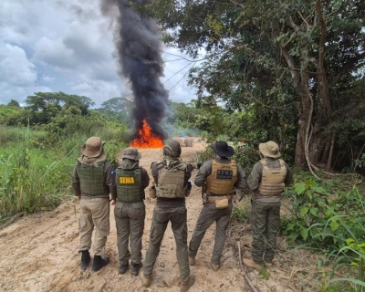 Polícia Civil deflagra Operação Logging e causa prejuízo de R$ 3,5 milhões ao crime ambiental em Mato Grosso
