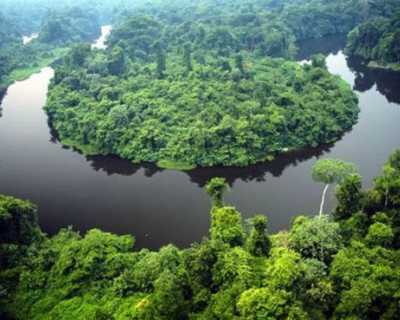 Justiça anula registros centenários e desmonta fraude bilionária em área do Cristalino, em MT