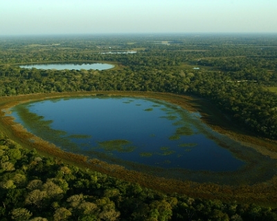 Ampliação de áreas no Pantanal acende alerta no setor produtivo de MT