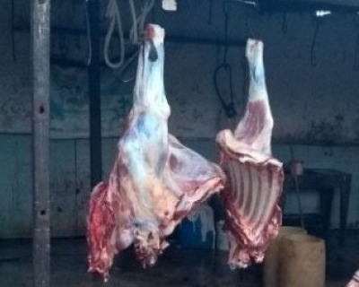 Justiça manda fechar matadouro clandestino e insalubre no interior de MT