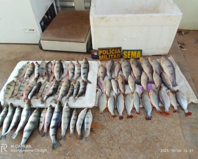 Sema-MT apreende 20 kg de pescado ilegal em Santo Ant�nio de Leverger