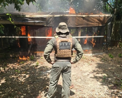 Operação resulta em prisões por crime ambiental e demolições de construções irregulares em Área de Preservação Permanente