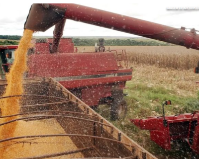 Safra de grãos 2025/26 pode bater novo recorde e chegar a 356,3 milhões de toneladas no Brasil