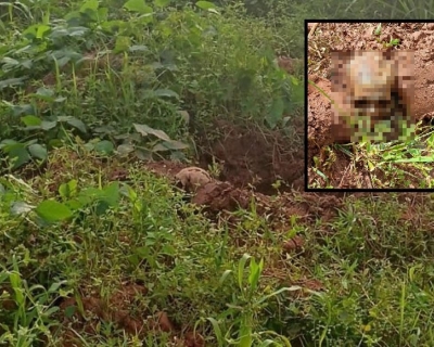 Ossada humana é encontrada nos fundos de creche em General Carneiro