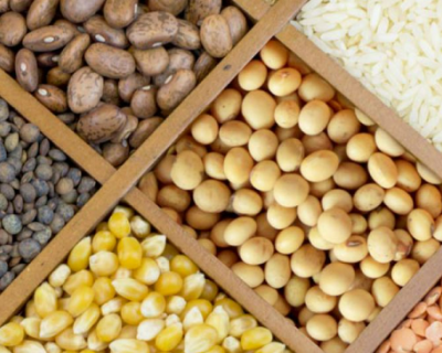 Safra 2023/2024 tem queda de 21,4 milh�es de toneladas, aponta Conab