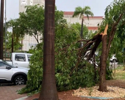 Tempestade provoca estragos em Cuiab�
