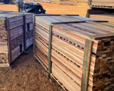 ECONOMIA MT exporta US$ 70,9 milh�es em madeira em 2023 e busca ampliar mercado na China e �ndia