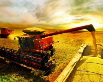 Produtores de soja e milho enfrentam desafios com altos custos e baixa rentabilidade em Mato Grosso