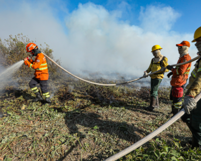 Corpo de Bombeiros combate 44 inc�ndios florestais neste s�bado (28)