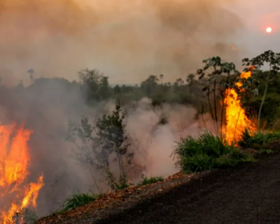 Queimadas devastam �rea equivalente a 10 cidades de Cuiab� em Mato Grosso em setembro