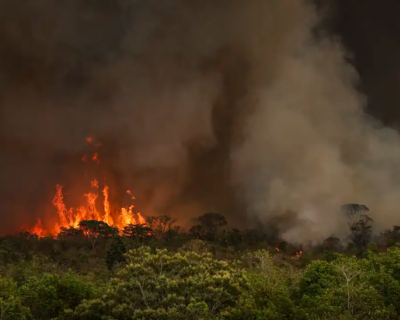 Brasil tem 22,38 milh�es de hectares atingidos pelo fogo em nove meses