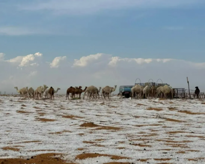 Deserto na Arbia Saudita registra neve pela primeira vez