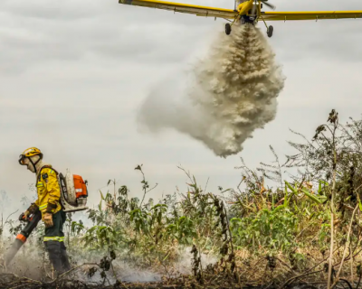 Pantanal: redu��o da �rea alagada tem favorecido aumento de inc�ndios