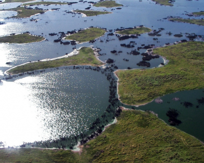 Pantanal pode perder t�tulo de Patrim�nio Natural da Humanidade devido � degrada��o ambiental