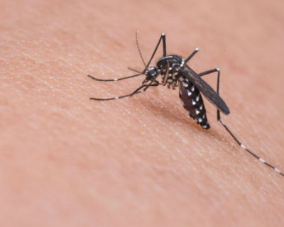 Mato Grosso registra 47 mortes por dengue e chikungunya em 2024