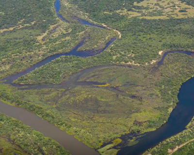 Maior parte da Mata Atl�ntica tem menos de 30% de vegeta��o nativa