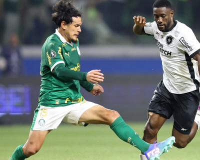 Em jogo histrico, Palmeiras e Botafogo disputam final do Brasileiro
