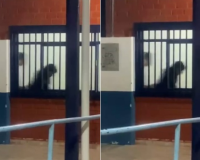Vdeo de casal em ato sexual em escola de Sinop gera escndalo nas redes sociais