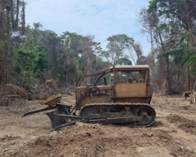 Sema apreende trator e multa infrator em R$ 215 mil por desmatamento ilegal em Alta Floresta
