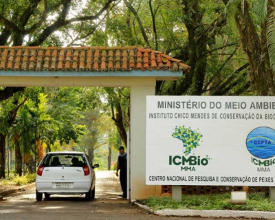 Instituto Chico Mendes abre concurso com 350 vagas e salrio de R$ 8,8 mil