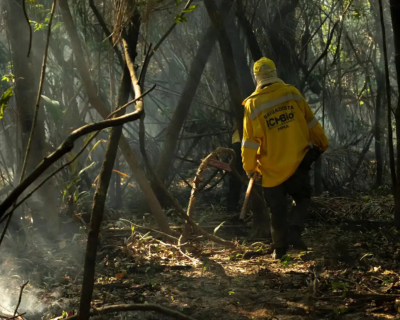 Amaz�nia tem o maior n�mero de queimadas e inc�ndios em 17 anos