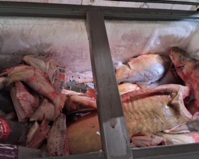 Sema apreende 81 kg de pescado durante operao contra pesca predatria em Rondonpolis