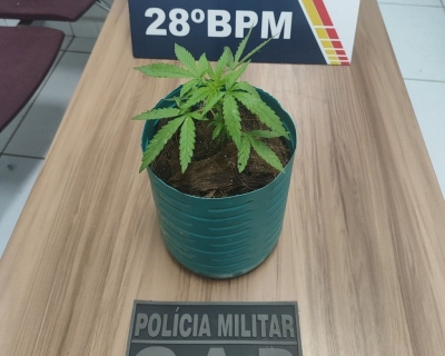 Polcia Militar detm suspeito aps perseguio em Jaciara