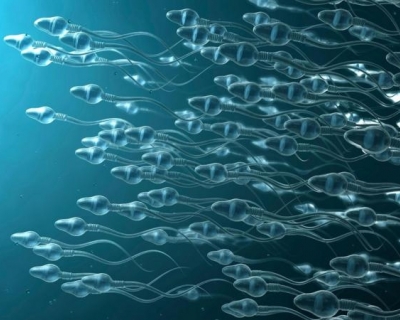 A Ejacula��o Pode Reduzir o Risco de C�ncer de Pr�stata? Novas Pesquisas Apontam Que Sim