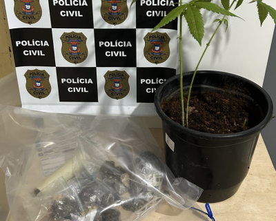 Polcia Civil prende dois adultos e apreende adolescentes por trfico de drogas em Canarana