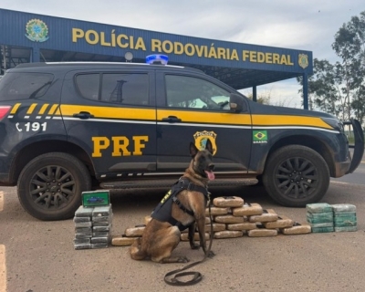 MP recorre e pede priso preventiva de homem flagrado com 46kg de droga