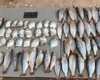 Pescador profissional � preso em flagrante com materiais proibidos em MT