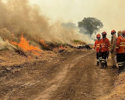 EMERG�NCIA AMBIENTAL � DECRETADA EM MT PARA INTENSIFICAR PREVEN��O E COMBATE AOS INC�NDIOS FLORESTAIS