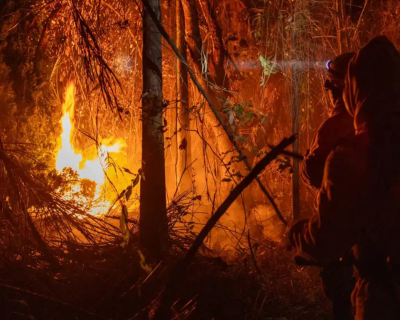 Brasil registra em 2024 aumento de 79% de �reas queimadas