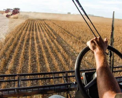 China suspende compra de soja de 5 exportadoras brasileiras