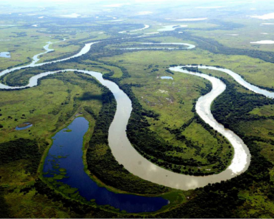 MPMT executa Estado para que implante �rea de Preserva��o Ambiental