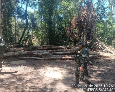 Batalh�o Ambiental det�m dupla e apreende m�quina e toras de madeiras extra�das ilegalmente