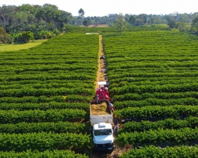 Governo de MT tem linha de crdito para financiar equipamentos, mquinas e implementos agrcolas